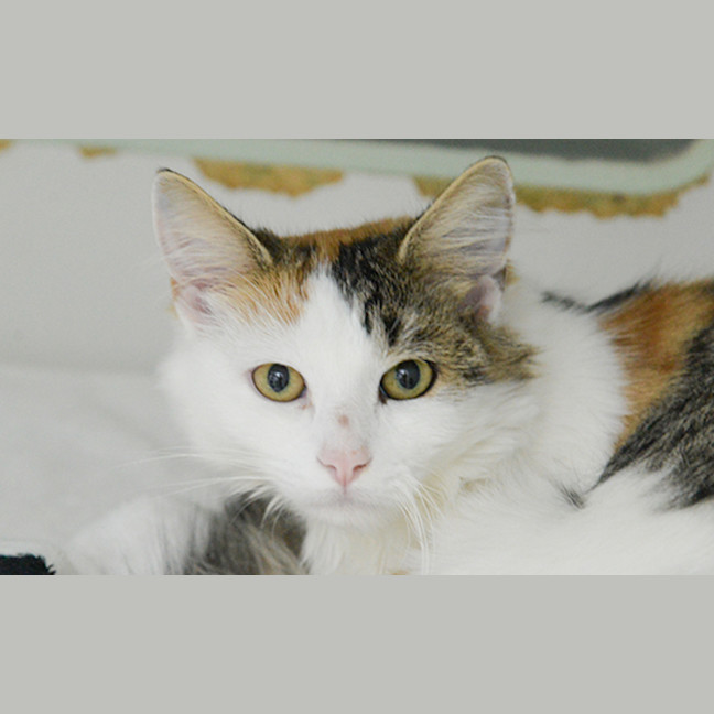 Photo of Pawla