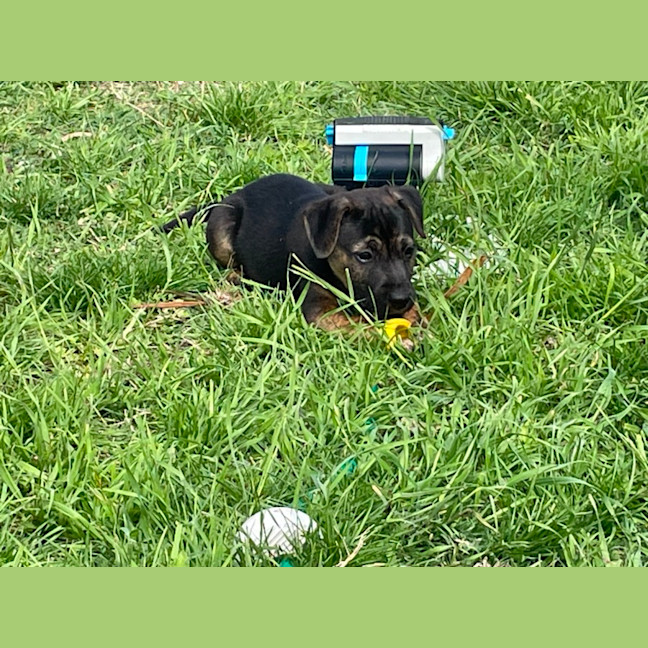 Photo of Buckley