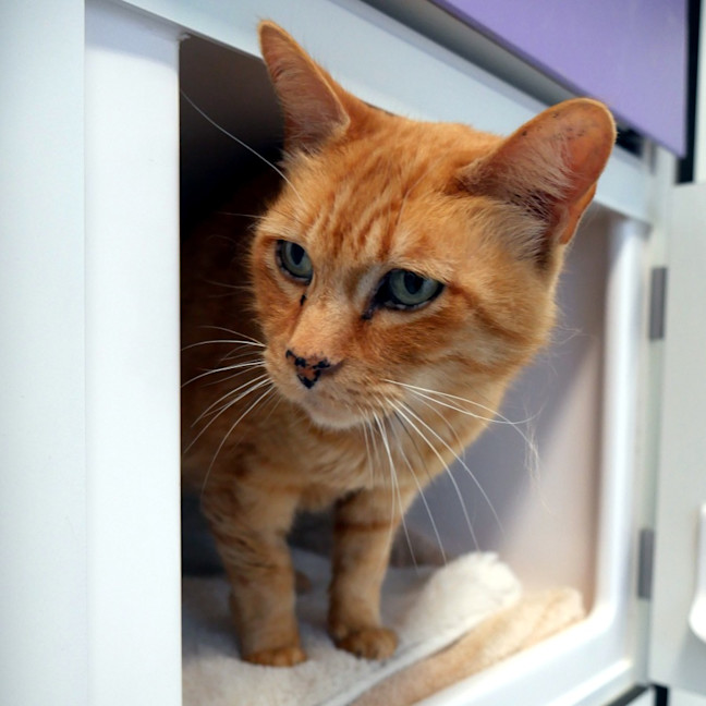 Photo of Danny Sta014433