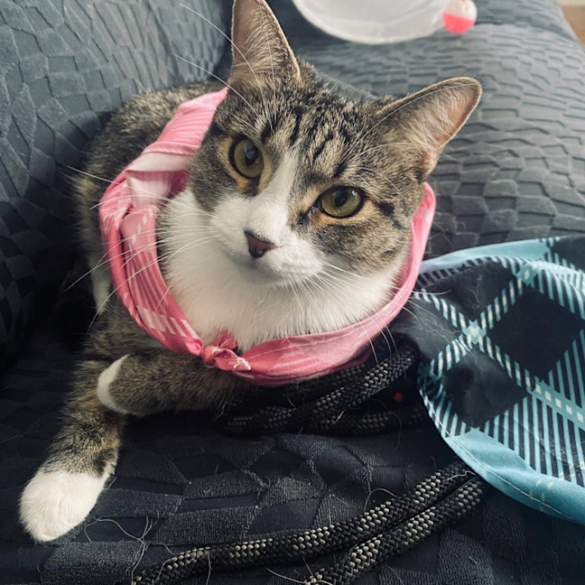 Photo of Ruby