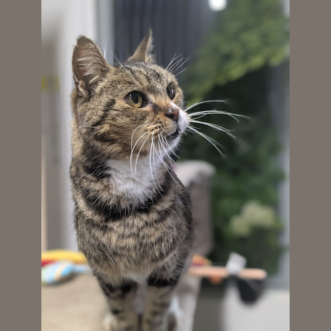 Photo of 🌱 Mochi 6381 🌱