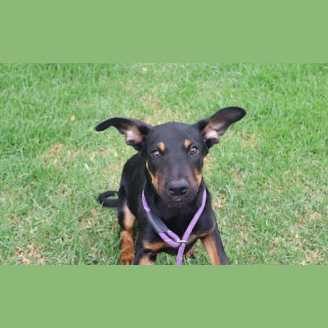 Photo of Pablo