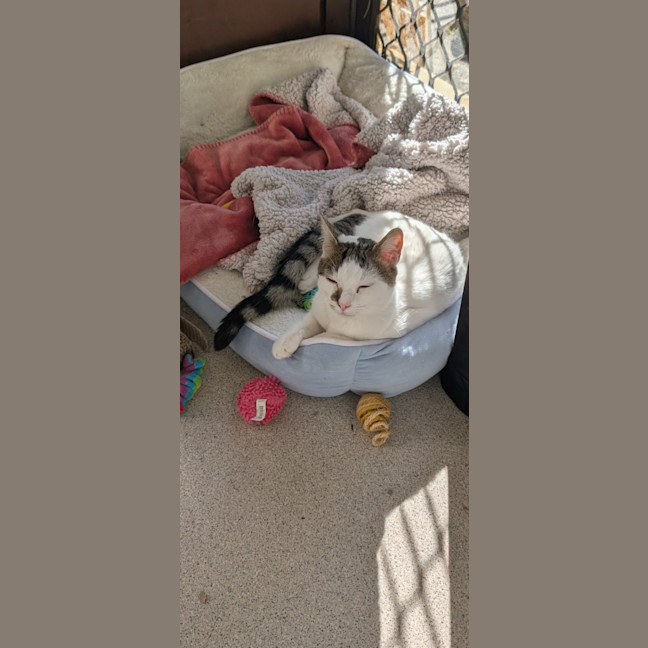 Photo of Gus