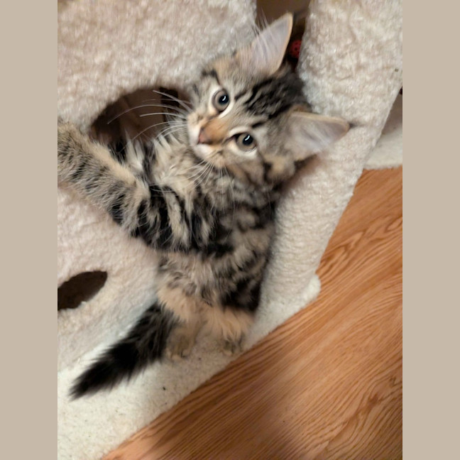 Photo of Rosalita