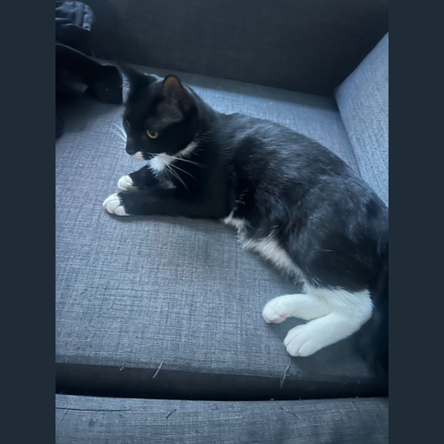 Photo of Bissy