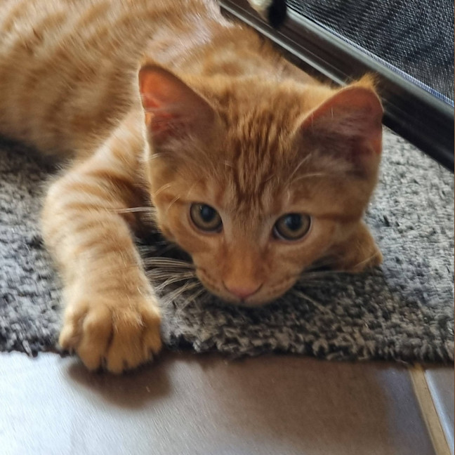 Photo of Hamish