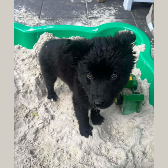 Photo of Storm