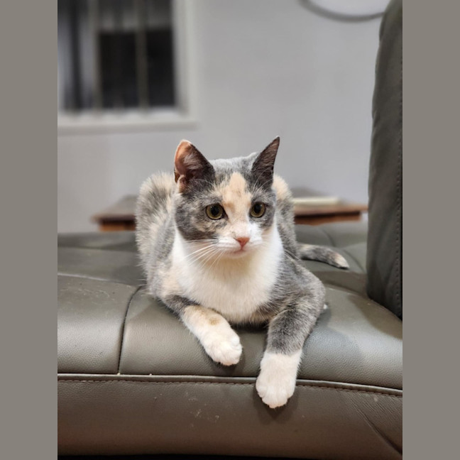 Photo of Lucinda