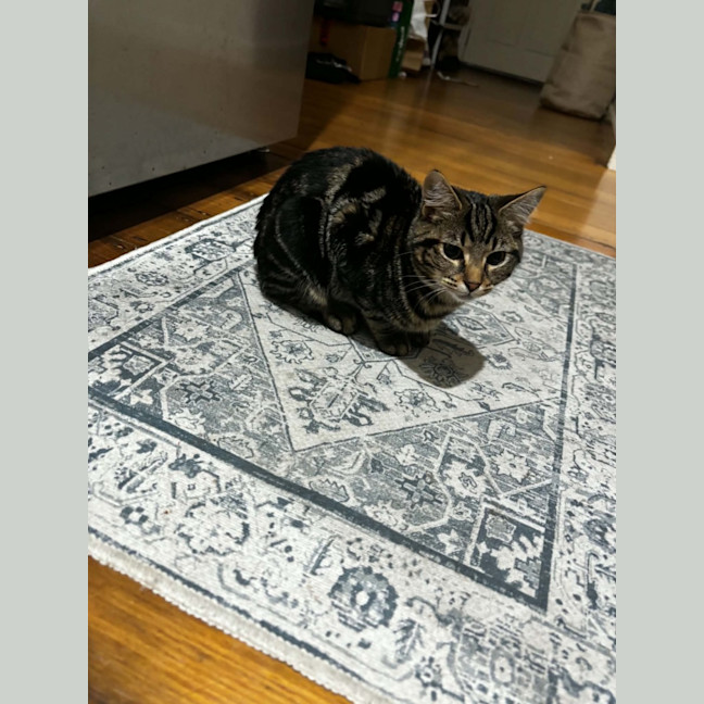 Photo of Millie