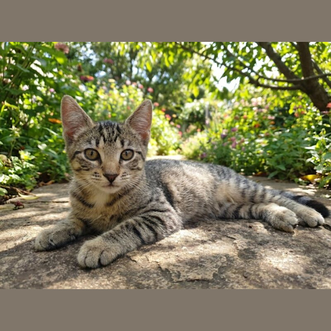 Photo of Opurrah Winfurry "Oprah"