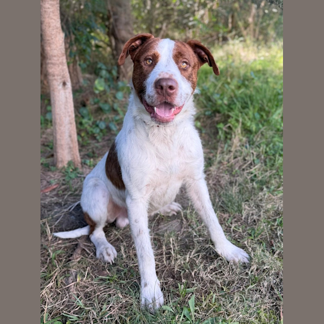 Photo of Tango