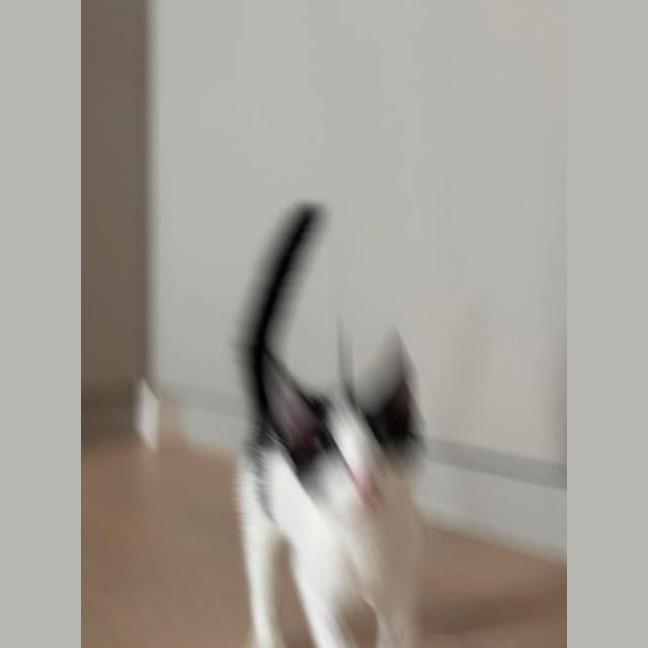 Photo of Maggie