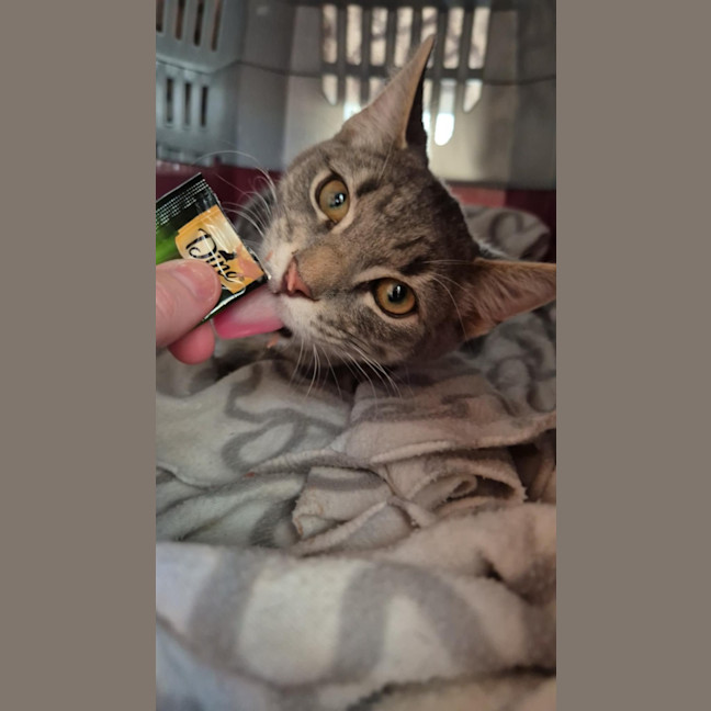 Photo of Autumn! 🍁