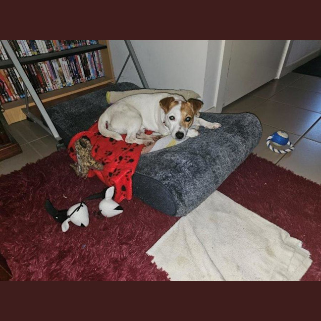 Photo of Jacky Chan Peggotty