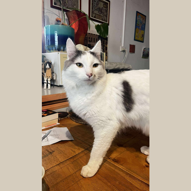 Photo of Flynn 