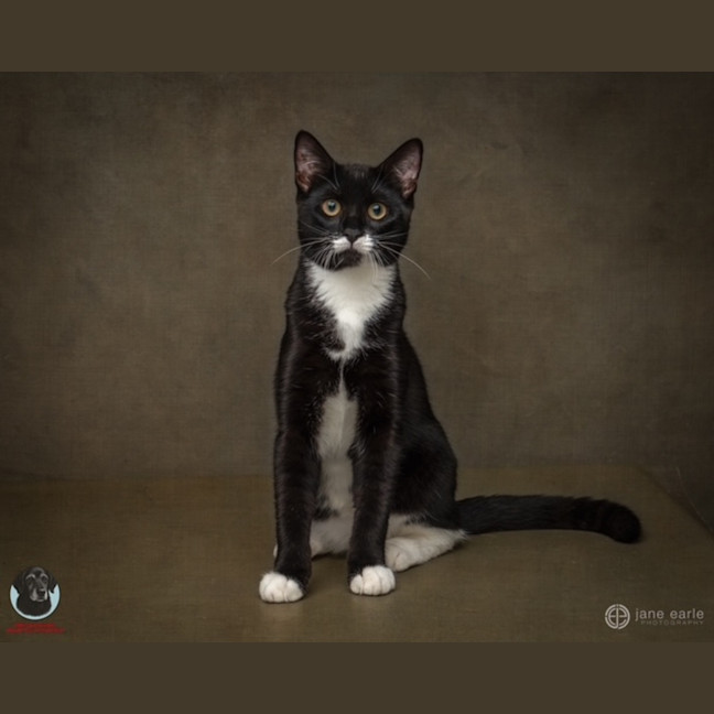 Photo of Bolly