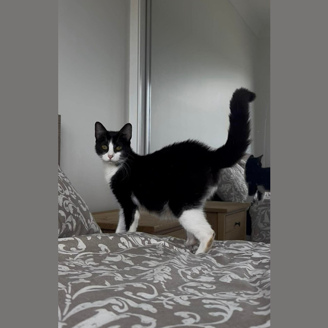 Photo of Cleo