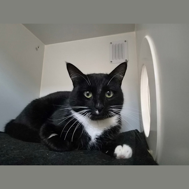 Photo of Marty