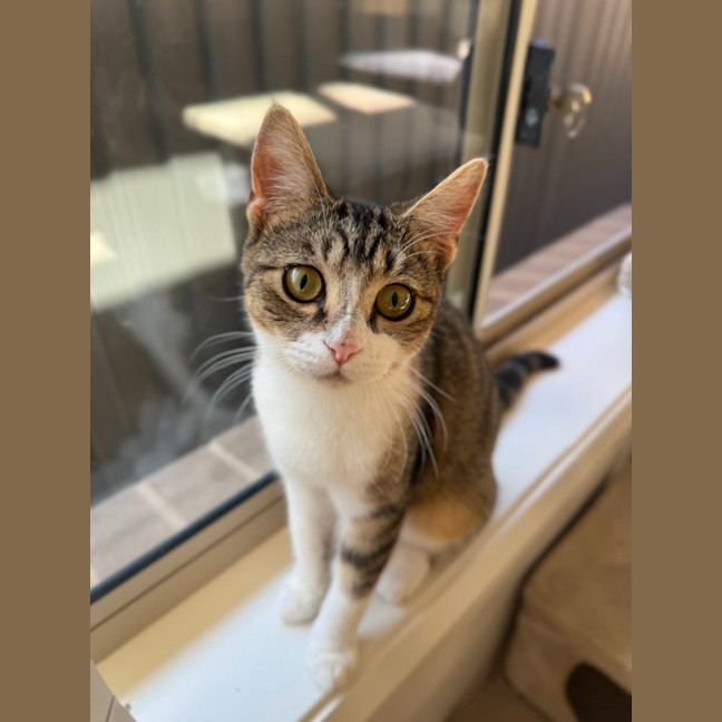 Photo of Flynn