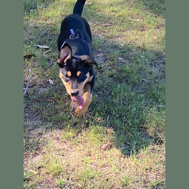 Photo of Stormy