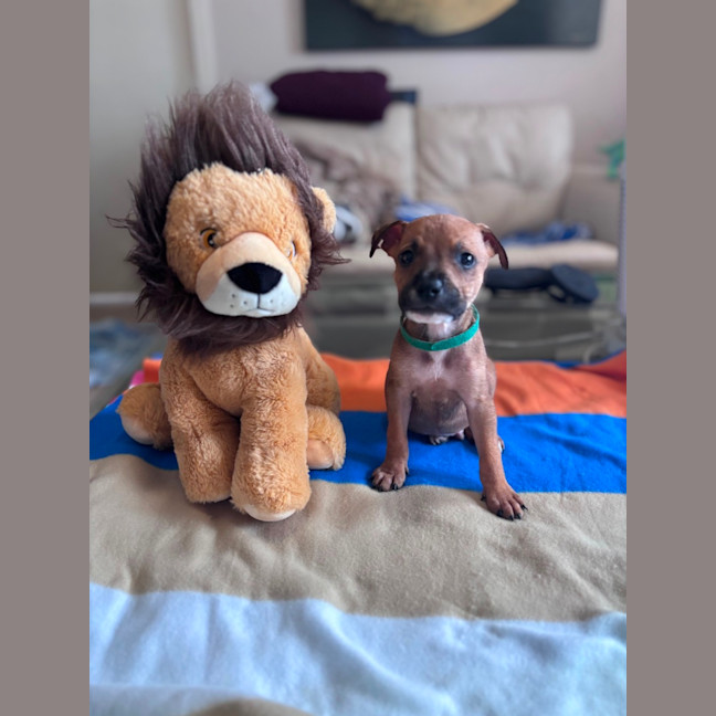 Photo of Charlie