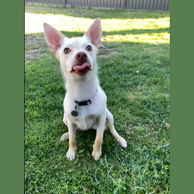 Photo of Skylar