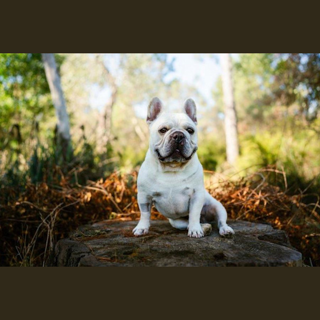 Photo of Bee O’cleary