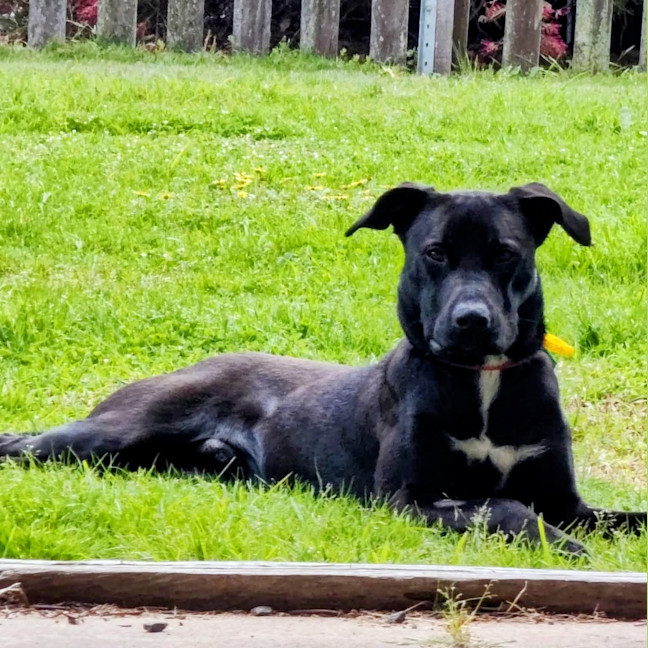 Photo of Tank
