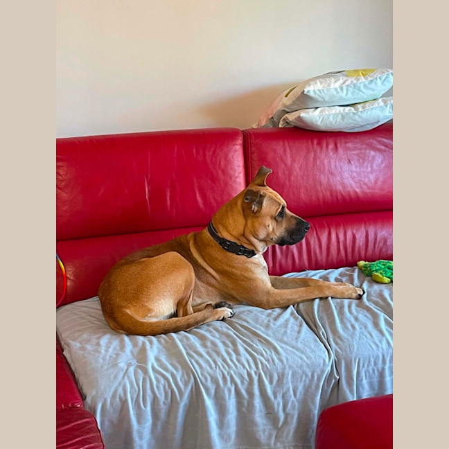 Photo of Lexi