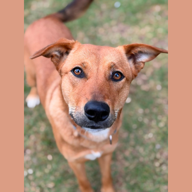 Photo of Thelma