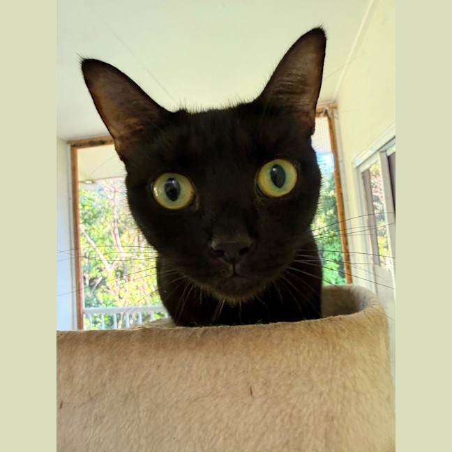 Photo of Tabitha