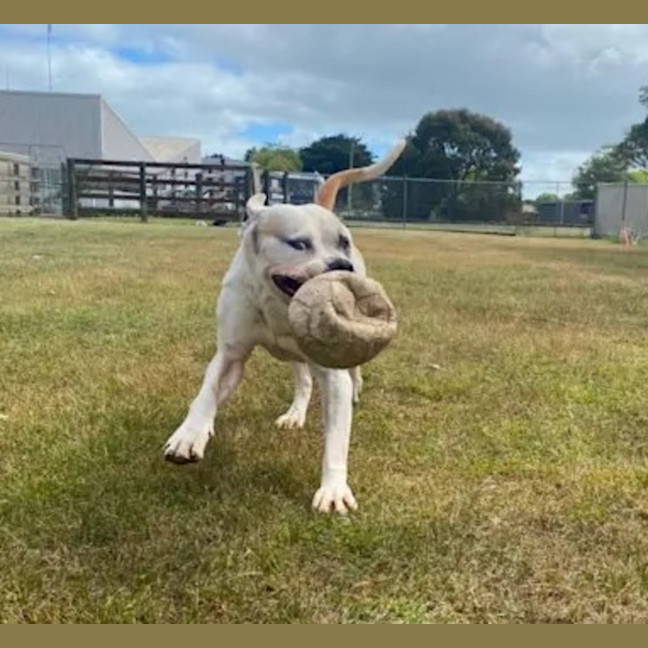 Photo of Buddy Xenos