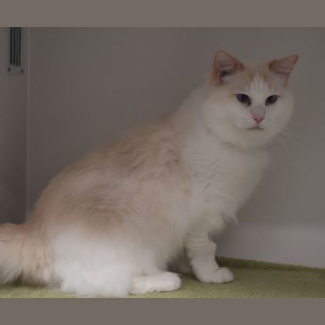 Photo of Rodney