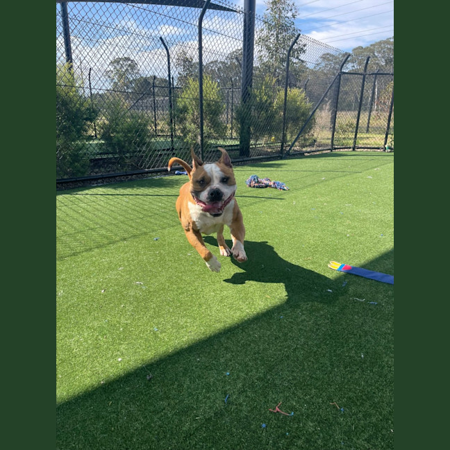 Photo of Motley Imp 1475