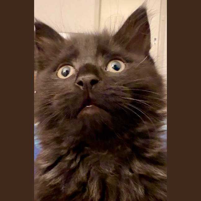 Photo of Tylenol Aka Ty