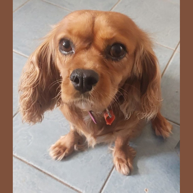 Photo of Lovely Lala 