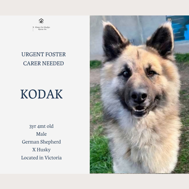 Photo of Kodak