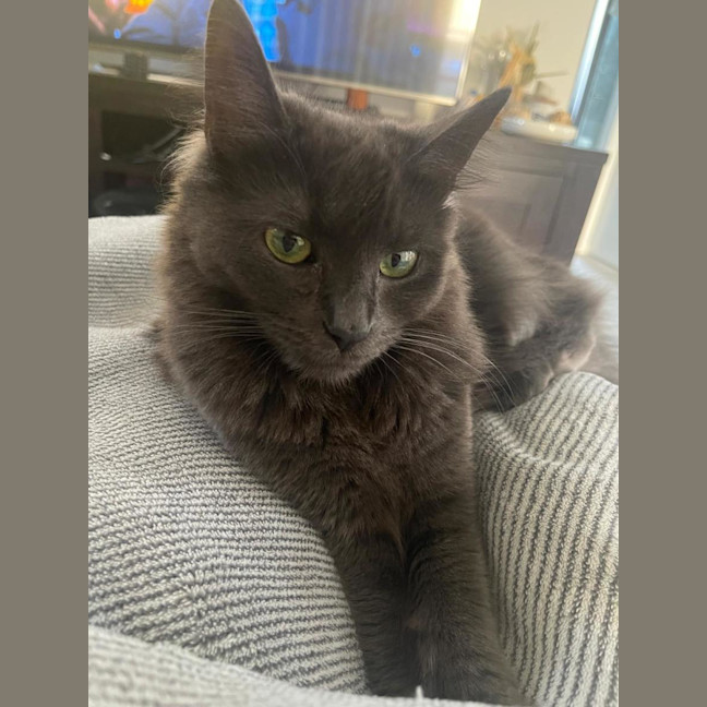 Photo of Hazel