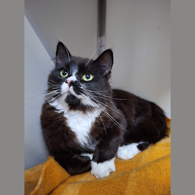 Photo of Skittles