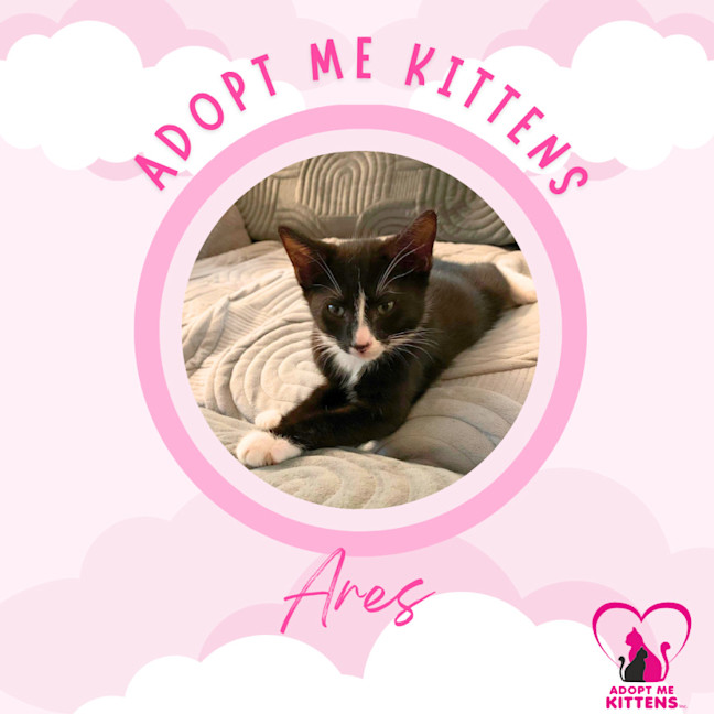 Photo of Ares