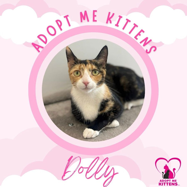 Photo of Dolly