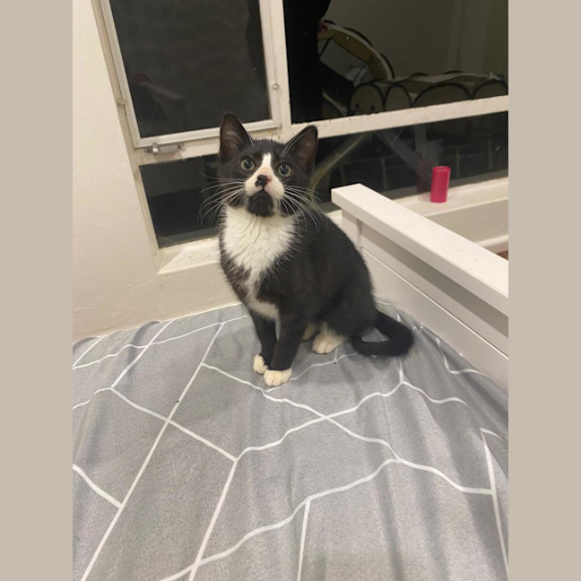 Photo of Mr Moo