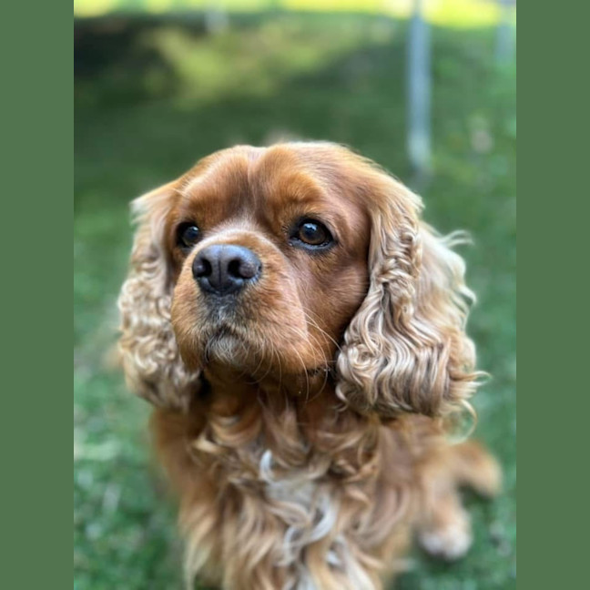 Photo of Toby And Cany Gurl 