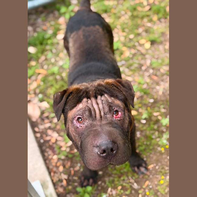 Photo of Winston
