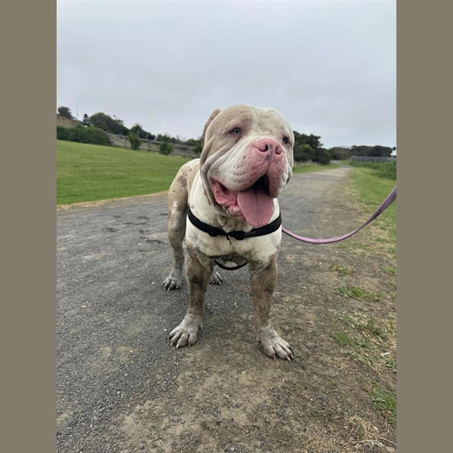 Photo of Hercules