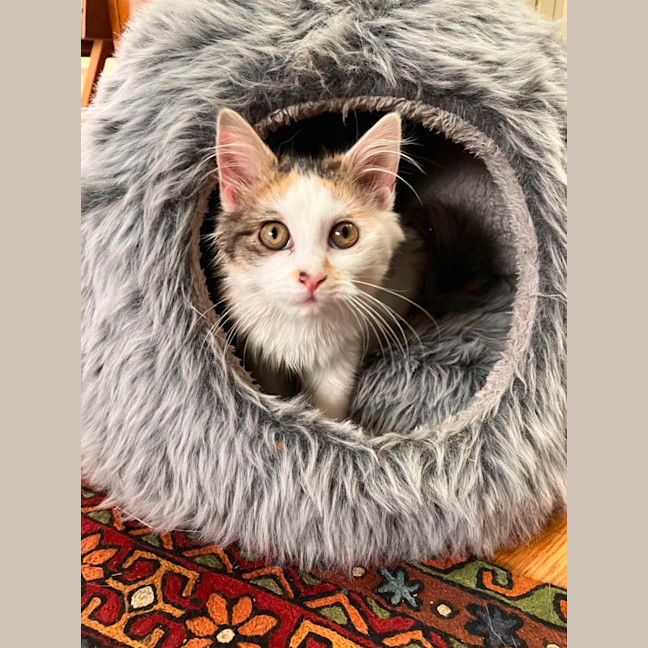 Photo of Winnie
