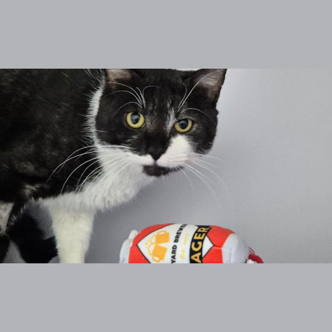 Photo of Simon