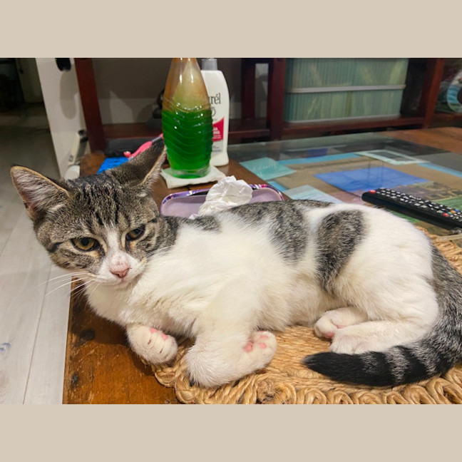 Photo of Ginny (Weasley) Of Harry Potter Fame