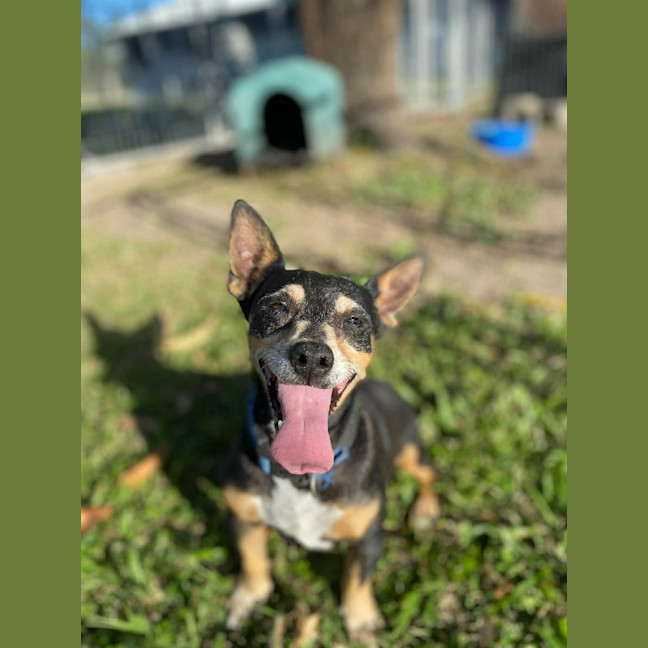 Photo of Buster