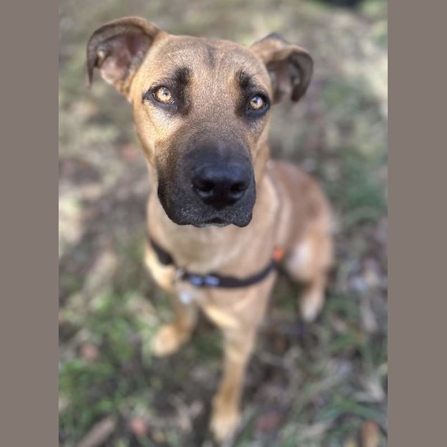 Photo of Blue